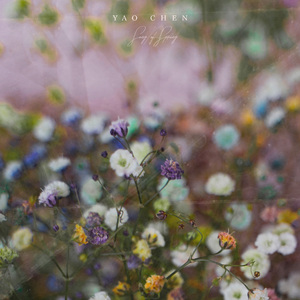 楪可怜最经典10部剧
